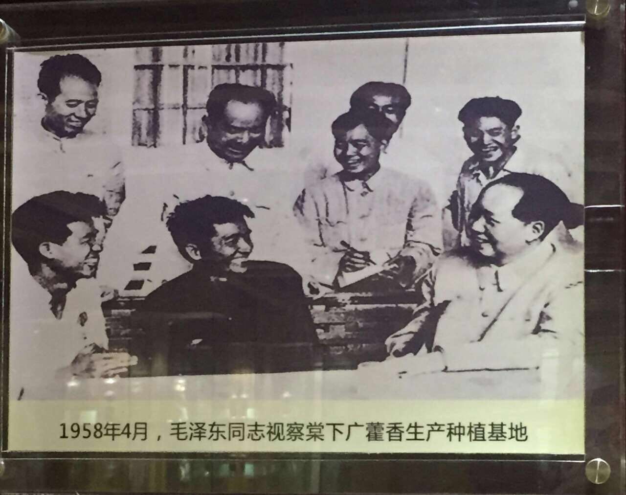 偉人與茶
