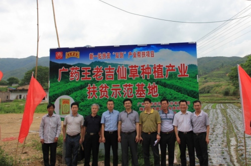 金年会保健品業建設中保健品材種植基地助農脫貧緻富實現鄉村振興